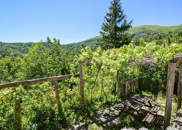 Lovely In Carcheto Brustico Stazzona